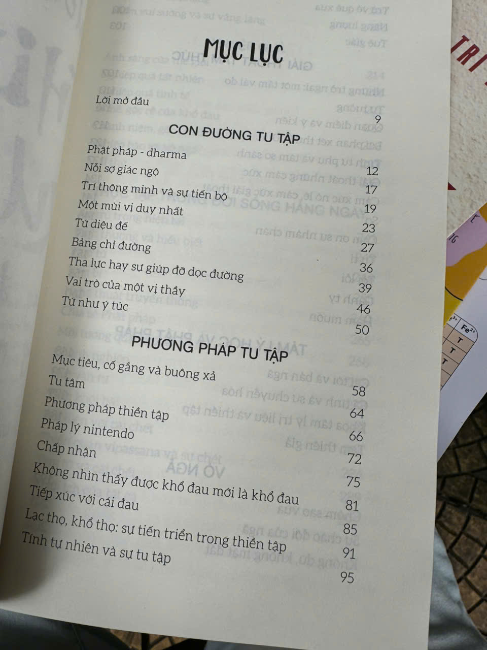 (Tái bản 2024) HƯỚNG DẪN THIỀN QUÁN TRONG ĐỜI SỐNG HẰNG NGÀY – Joseph Goldstein – Nguyễn Duy Nhiên dịch – Thaihabooks – NXB Hà Nội