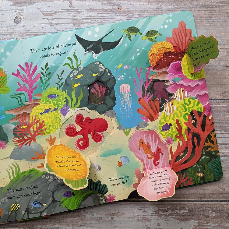 Nature Die-cut Book - Let