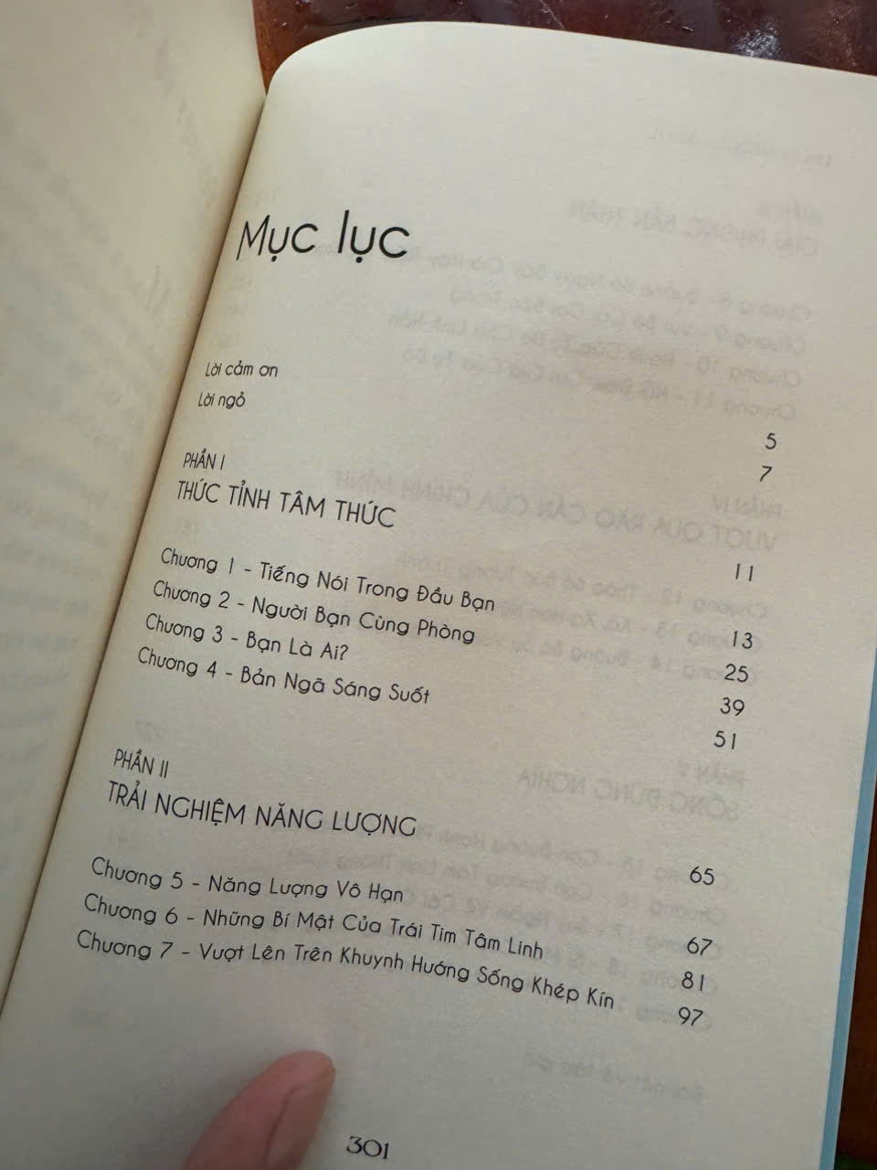 CỞI TRÓI LINH HỒN – Cuốn Sách Giúp Người Đọc Vượt Qua Giới Hạn Của Chính Mình - Michael A. Singer - Bùi Thị Ngọc Hương dịch -First News - NXB Tổng Hợp HCM