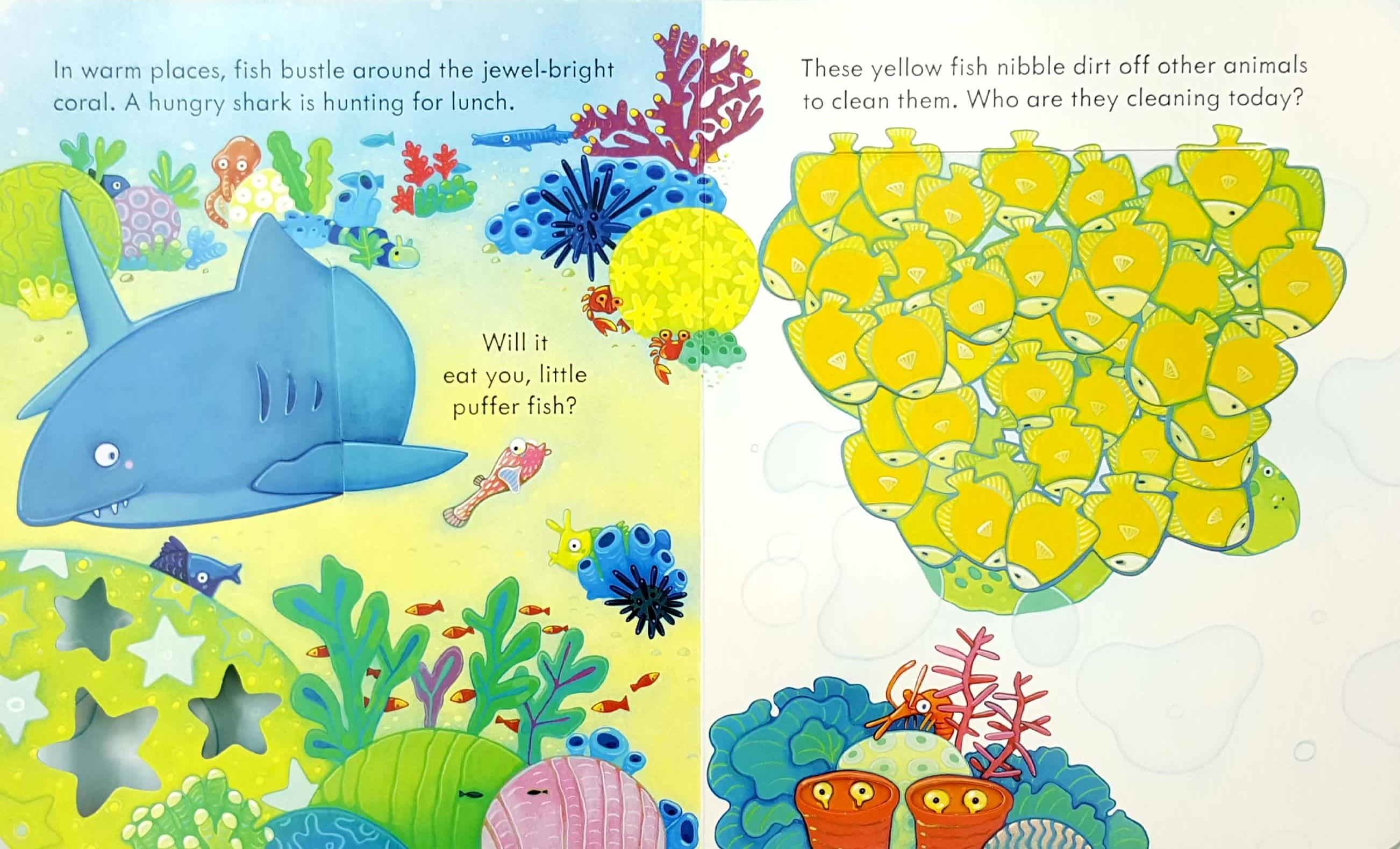 Usborne Peep Inside The Sea (Board book)