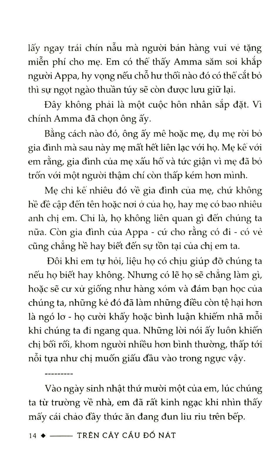 Trên Cây Cầu Đổ Nát