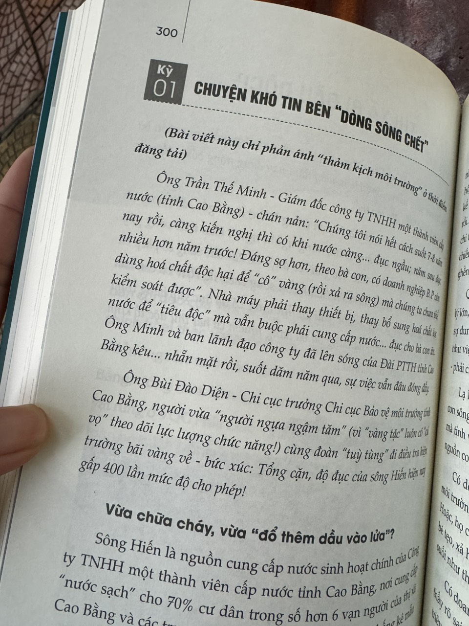 NỬA DÒNG MÁU MANG MÀU DIỆP LỤC – Đỗ Doãn Hoàng & Hoàng Văn Chiên – Liên Việt – NXB Văn Học