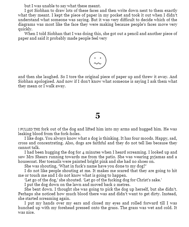 The Curious Incident of the Dog in the Night-time : Vintage Children