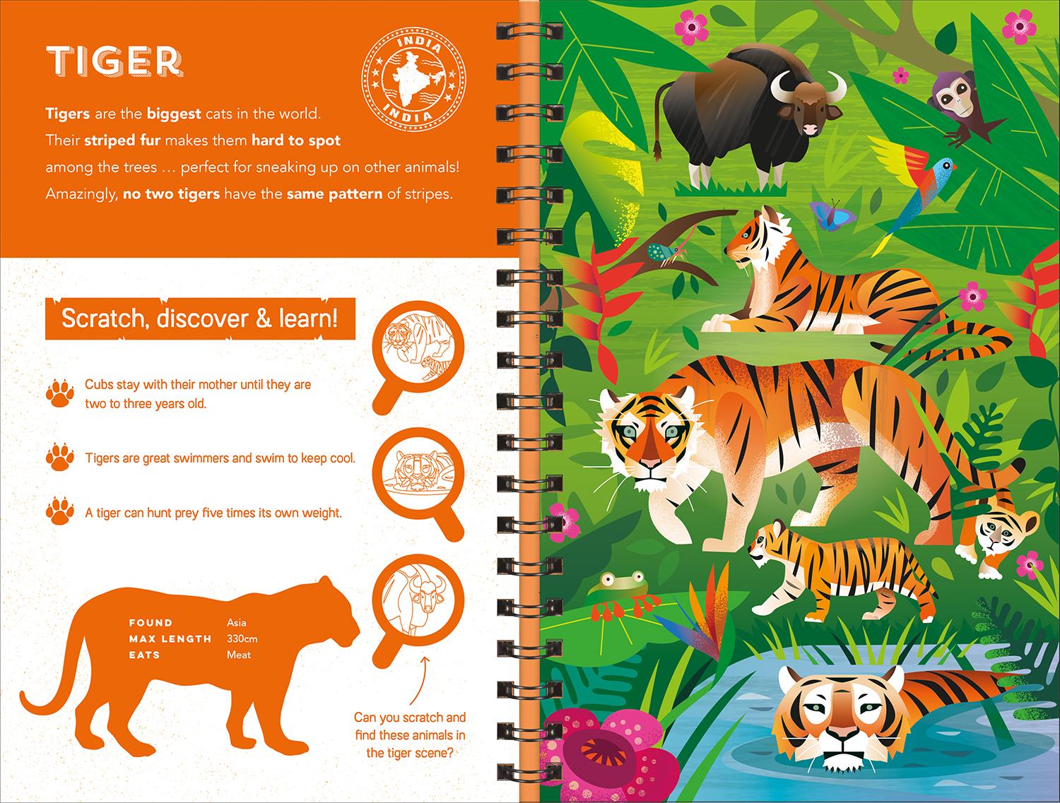 Animals (Scratch Discover & Learn)