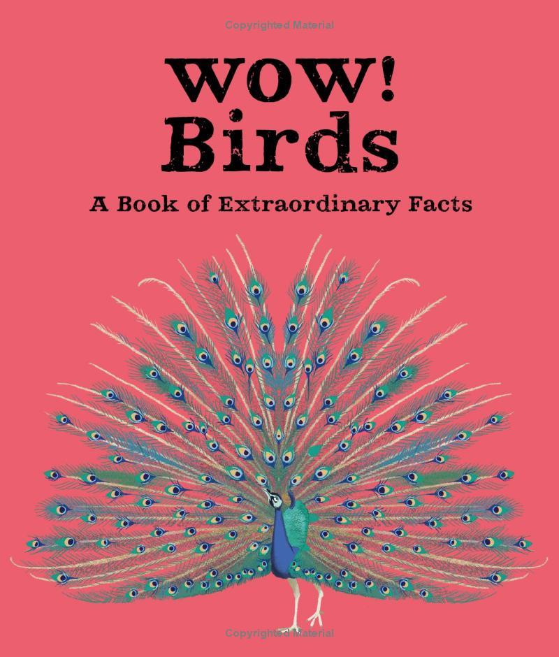 Wow! Birds