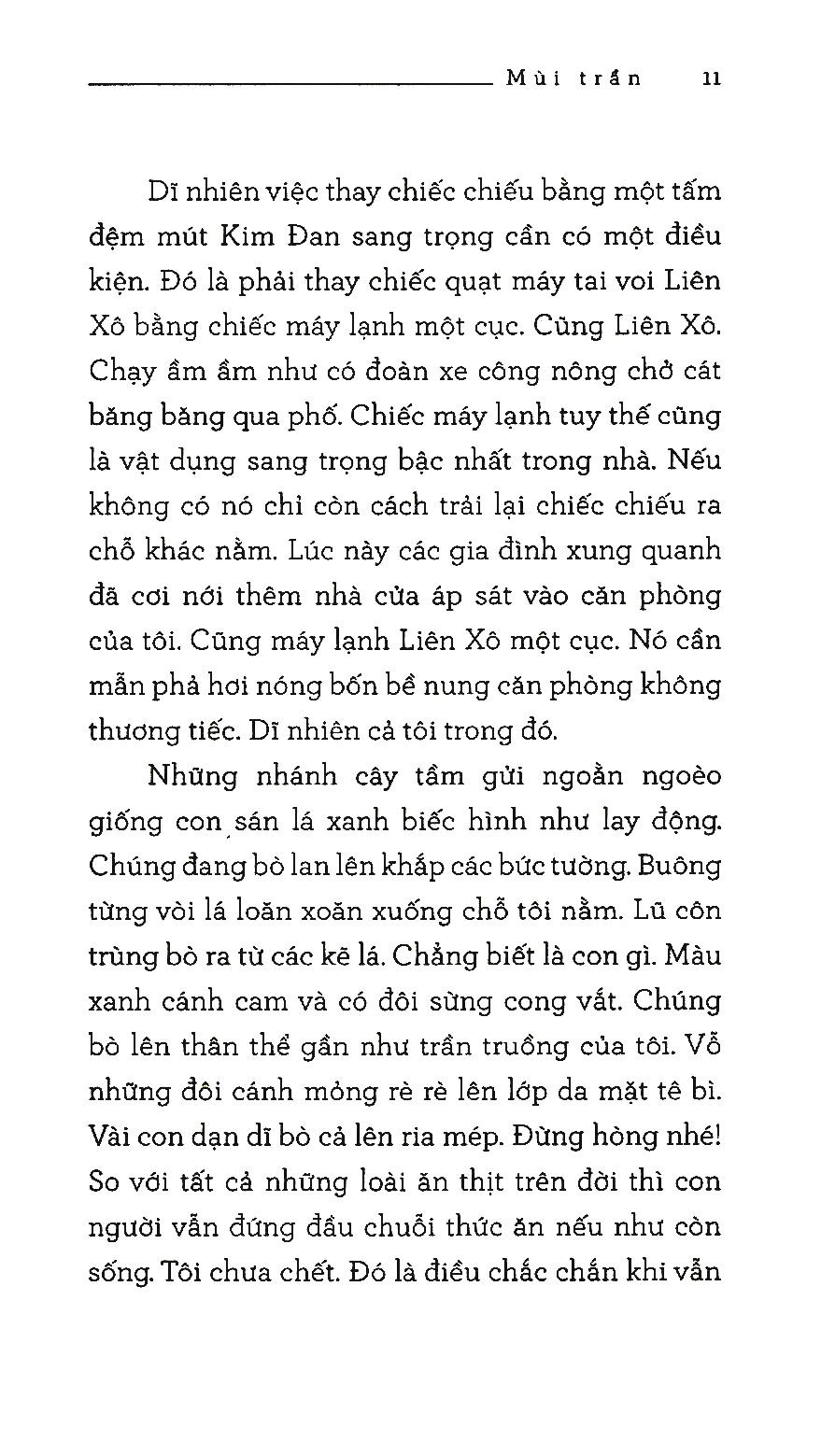 Mùi Trần