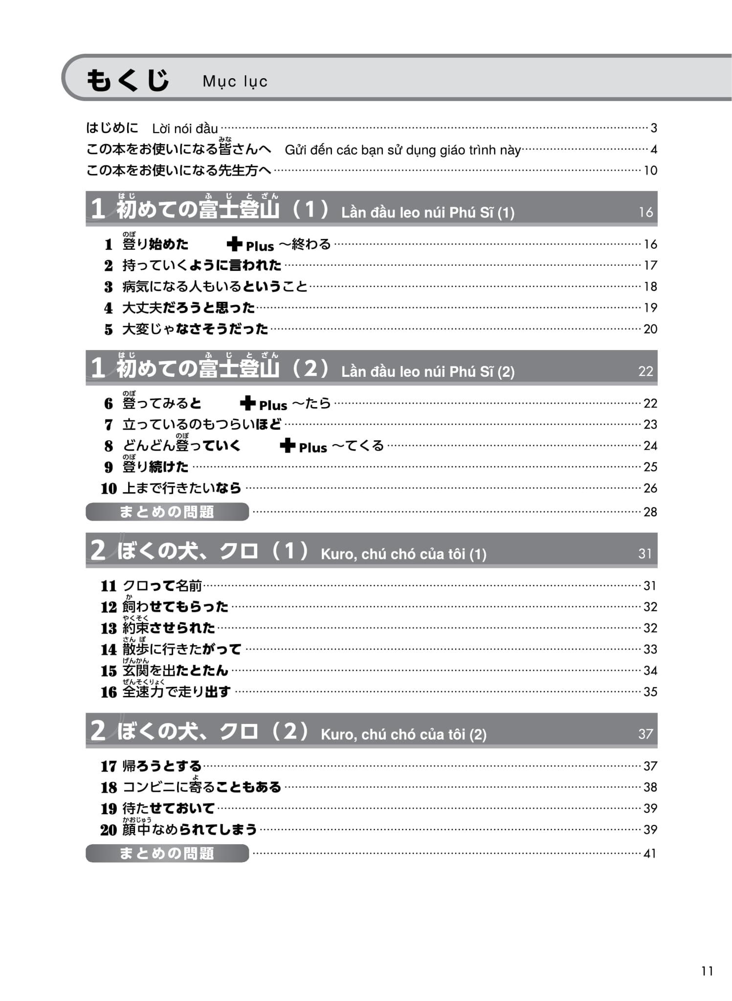 Try! Kỳ Thi Năng Lực Nhật Ngữ N3: Phát Triển Các Kỹ Năng Tiếng Nhật Từ Ngữ Pháp (Phiên Bản Tiếng Việt)