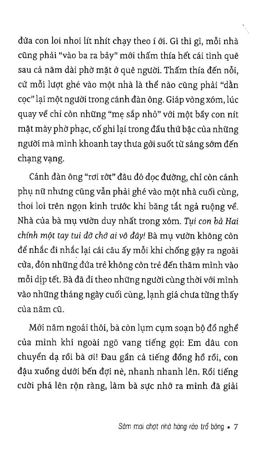 Sớm Mai Chợt Nhớ Hàng Rào Trổ Bông