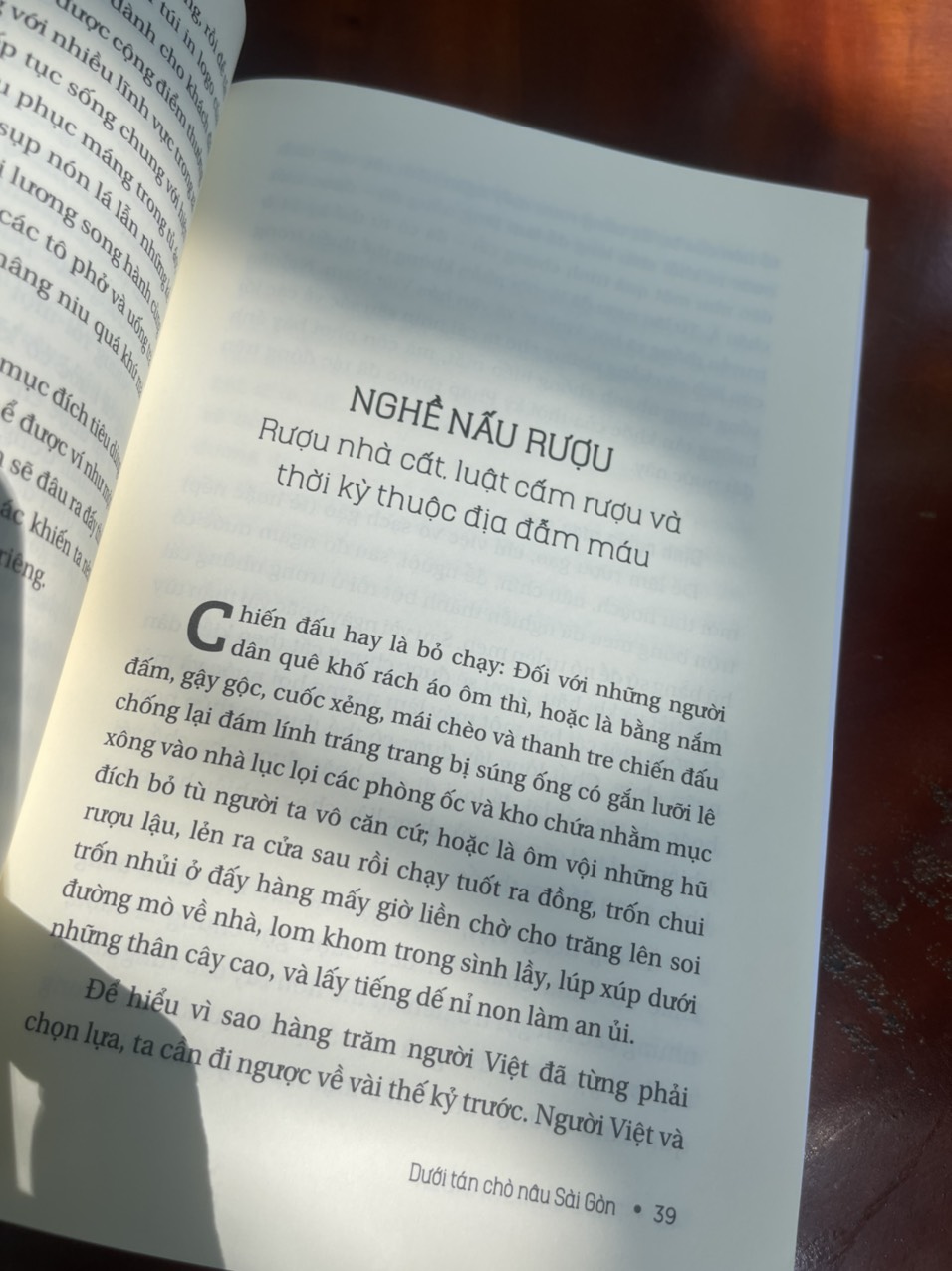 DƯỚI TÁN CHÒ NÂU SÀI GÒN – song ngữ Việt – Anh – Trần Thị NgH – Paul Christiansen