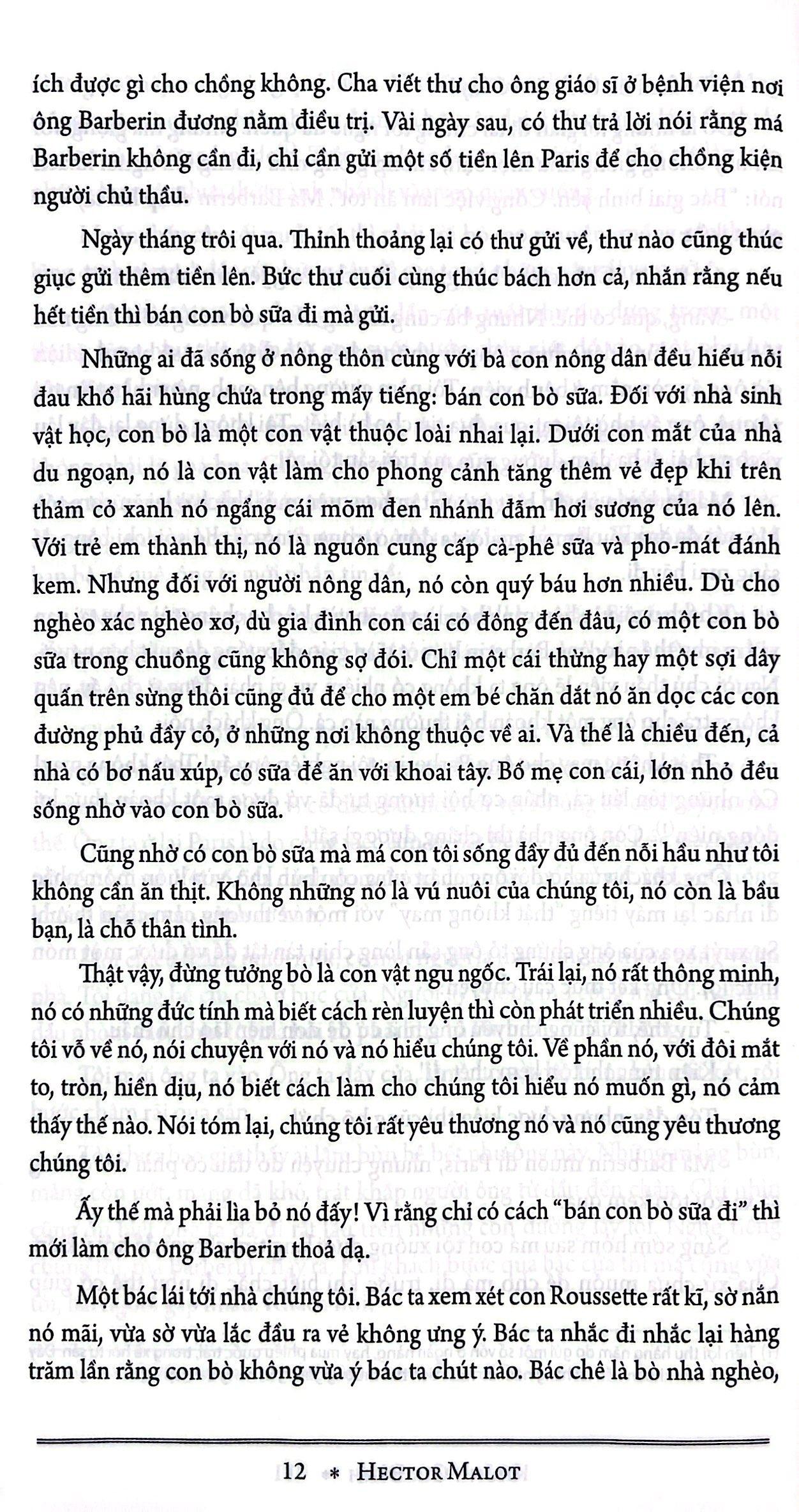Không Gia Đình (Tái Bản 2022)