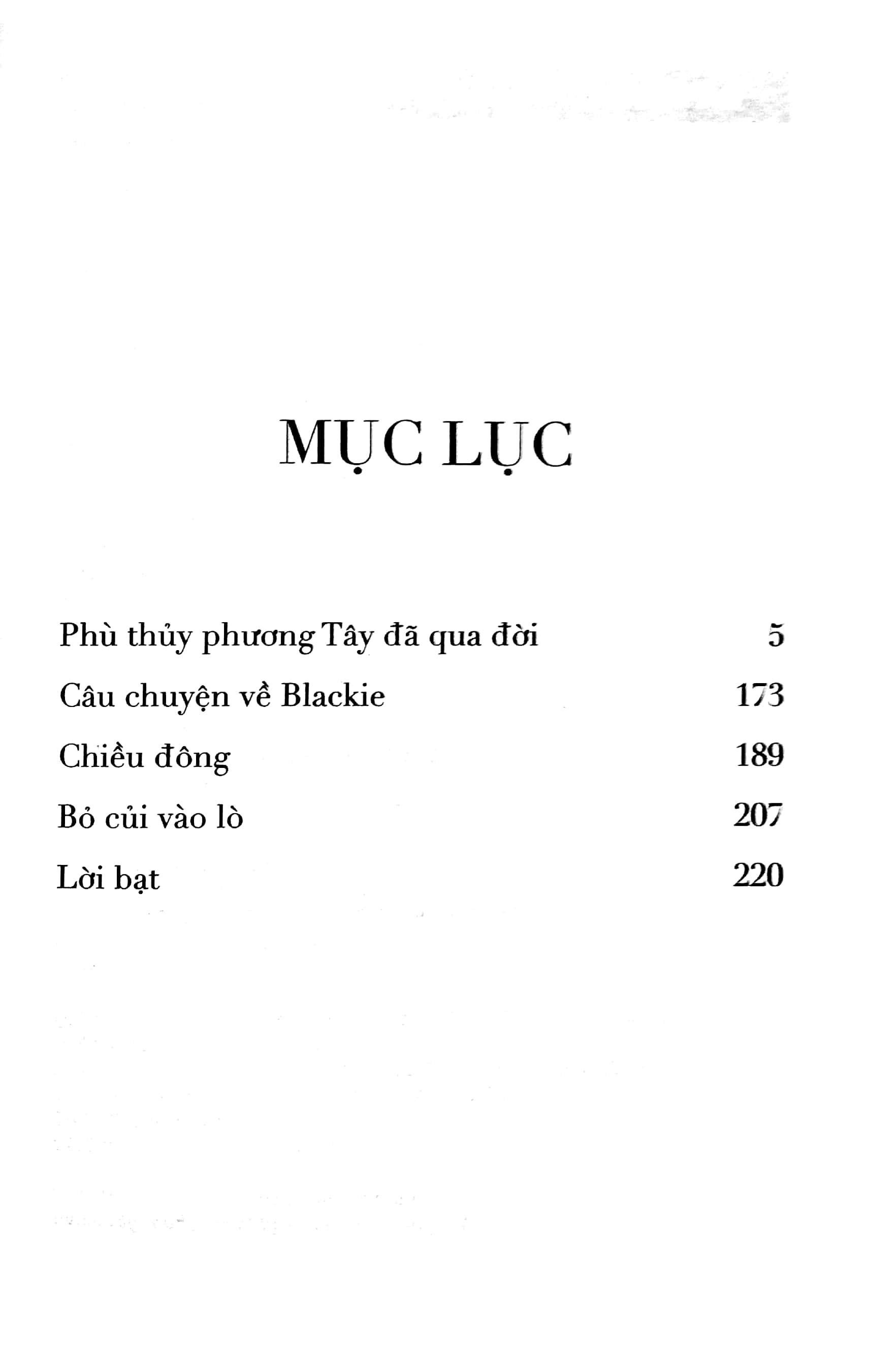 Bà Ngoại Phù Thủy Và Mùa Hè Tập Sự - Nishi No Majo Ga Shinda