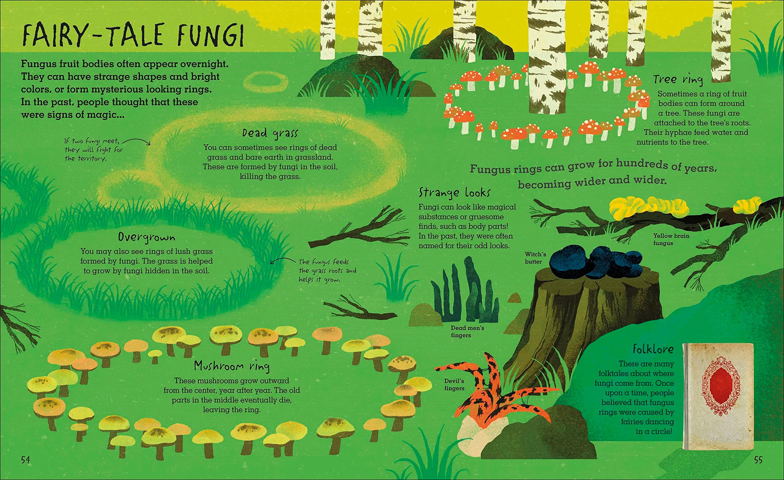 Humongous Fungus