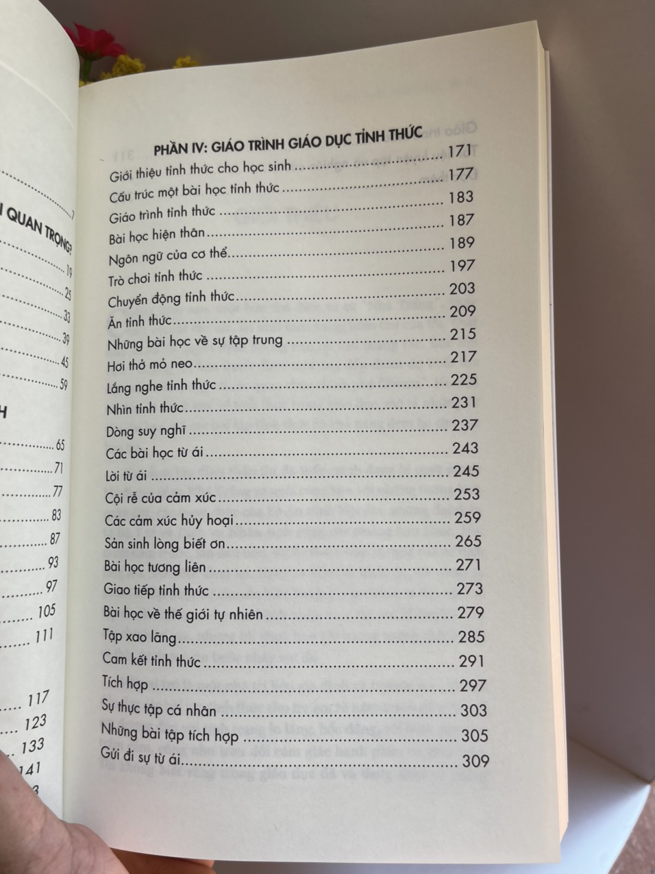 GIÁO DỤC TỈNH THỨC - Daniel Rechtschaffen – Kiều Anh Tú dịch – Thái Hà