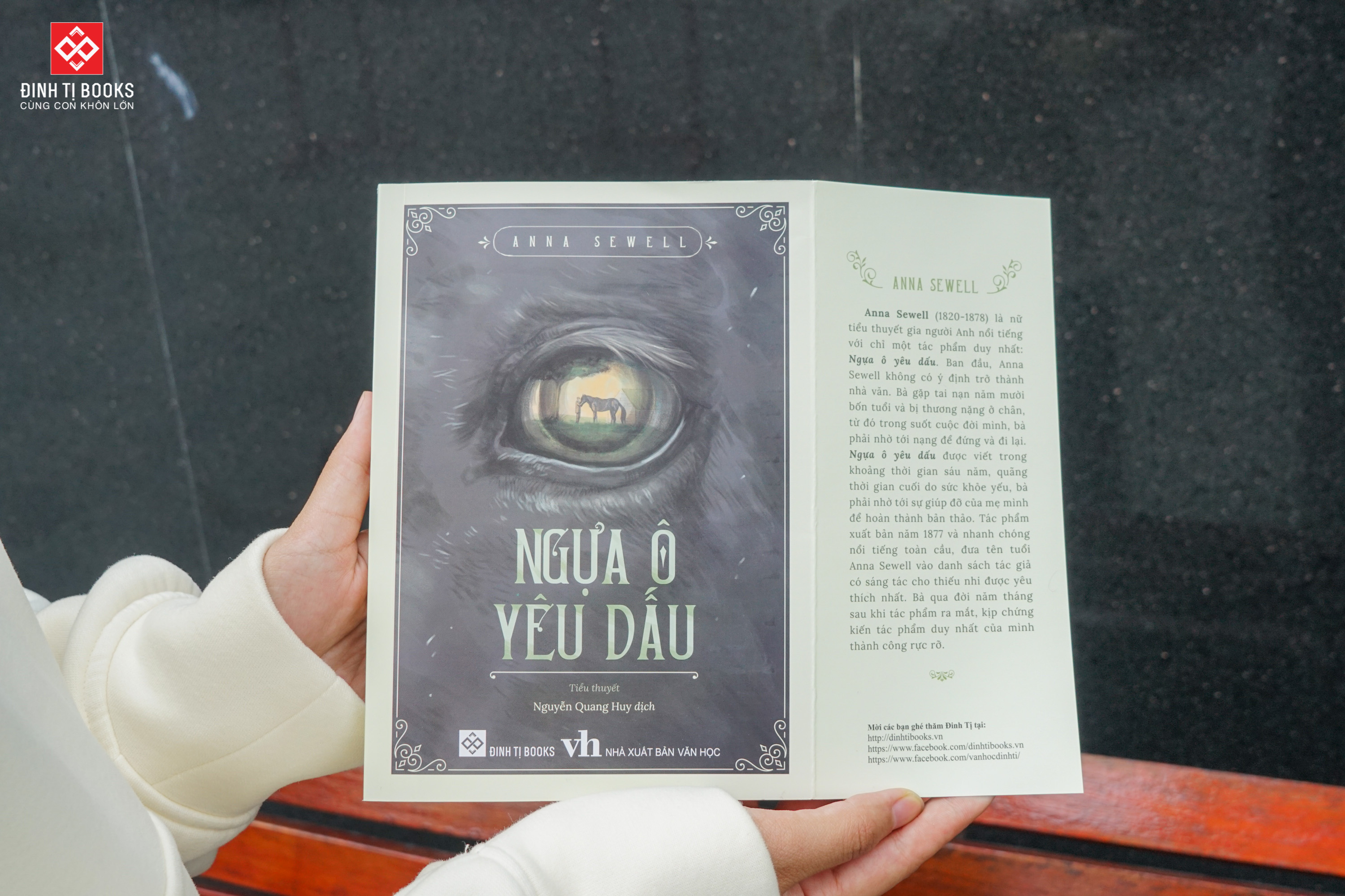 Sách - Ngựa ô yêu dấu Anna Sewell - Đinh Tị Books