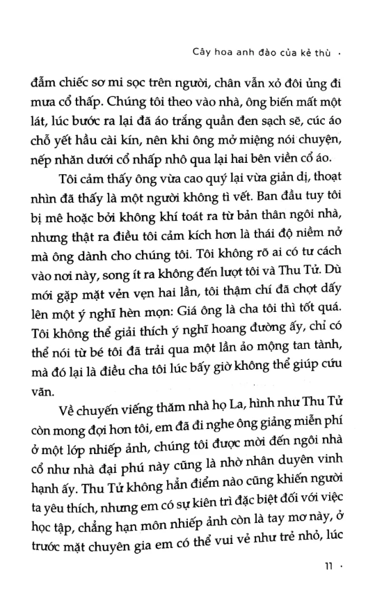 Cây Hoa Anh Đào Của Kẻ Thù