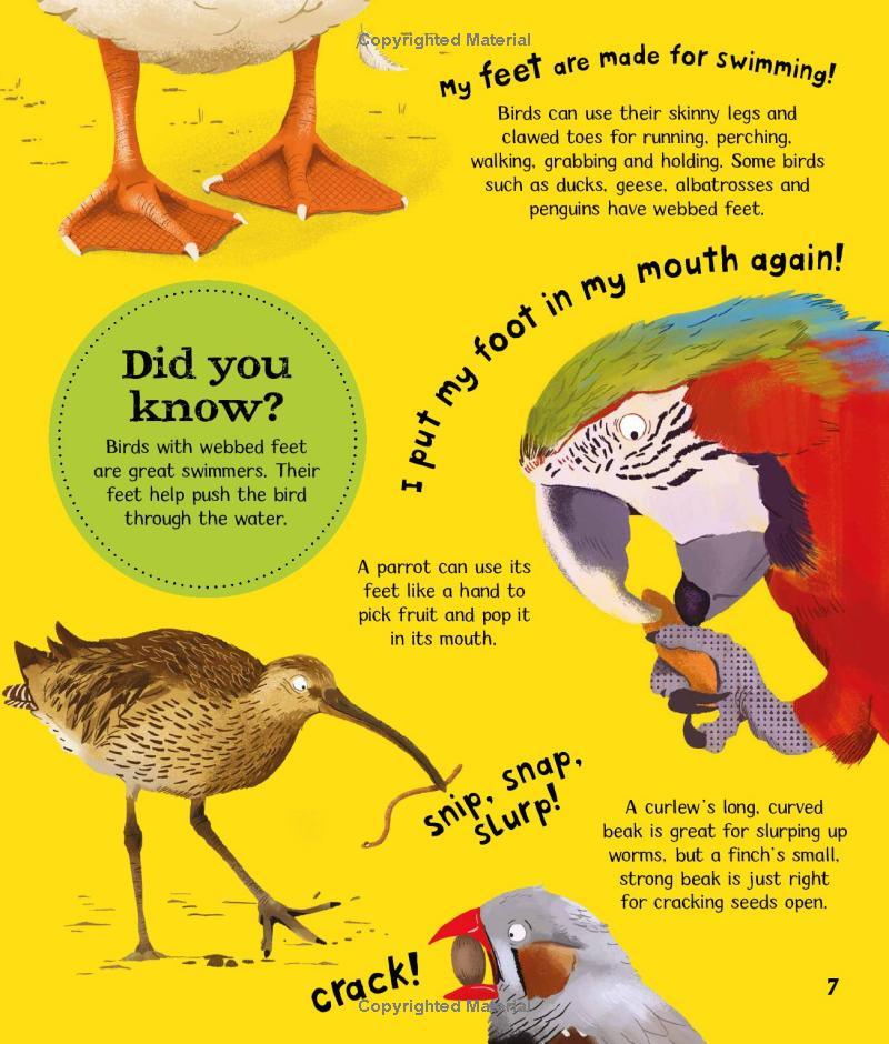 Wow! Birds