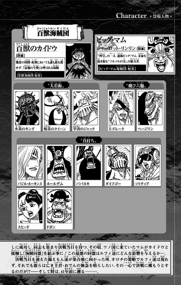 One Piece 96