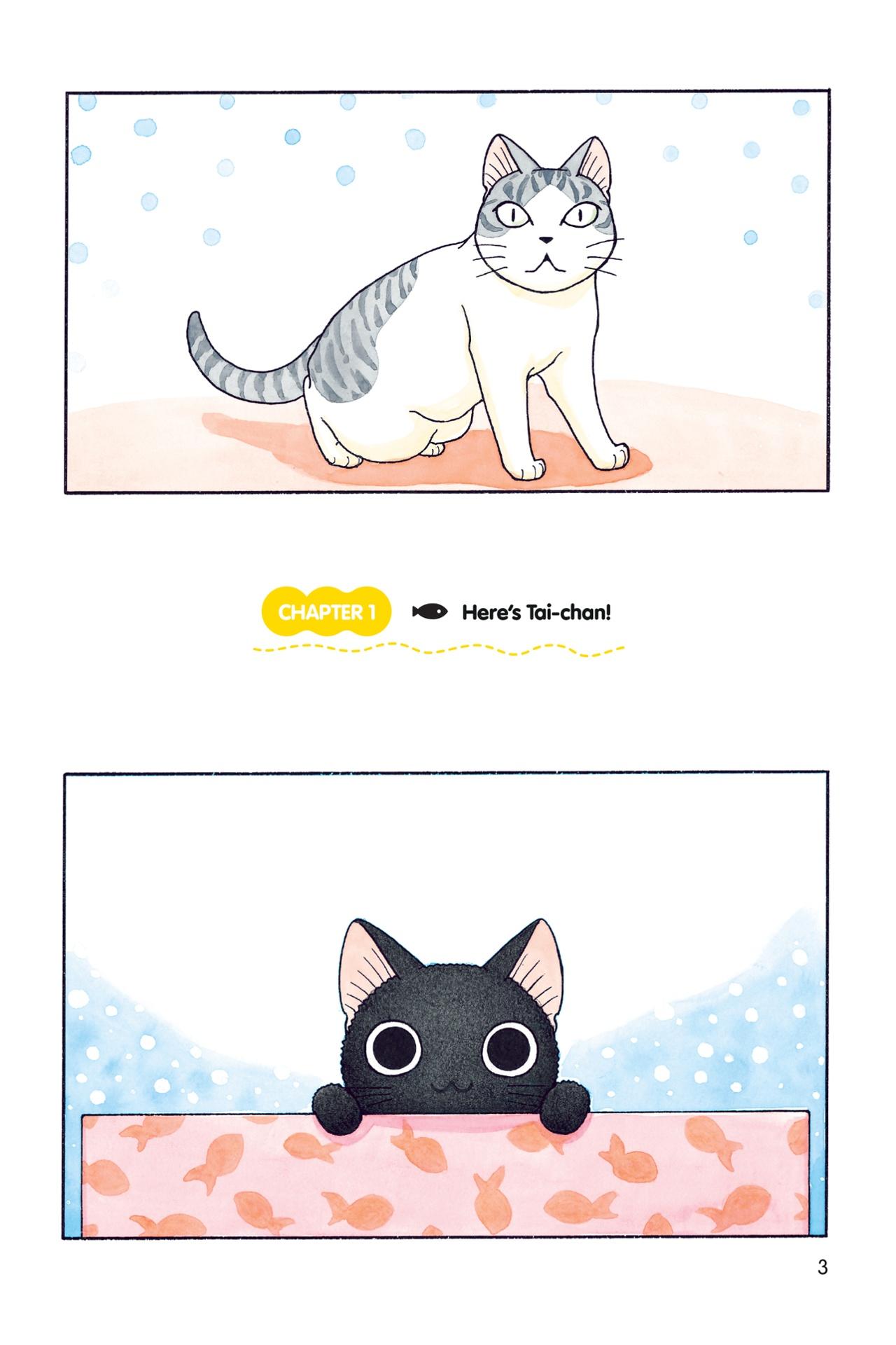 Sue & Tai-chan 1 (Graphic Novels)