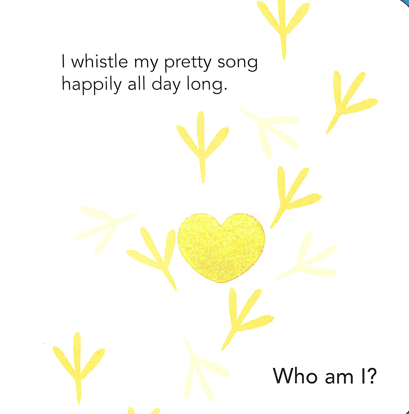 Who Am I? Touch & Feel Flap Book: Pets