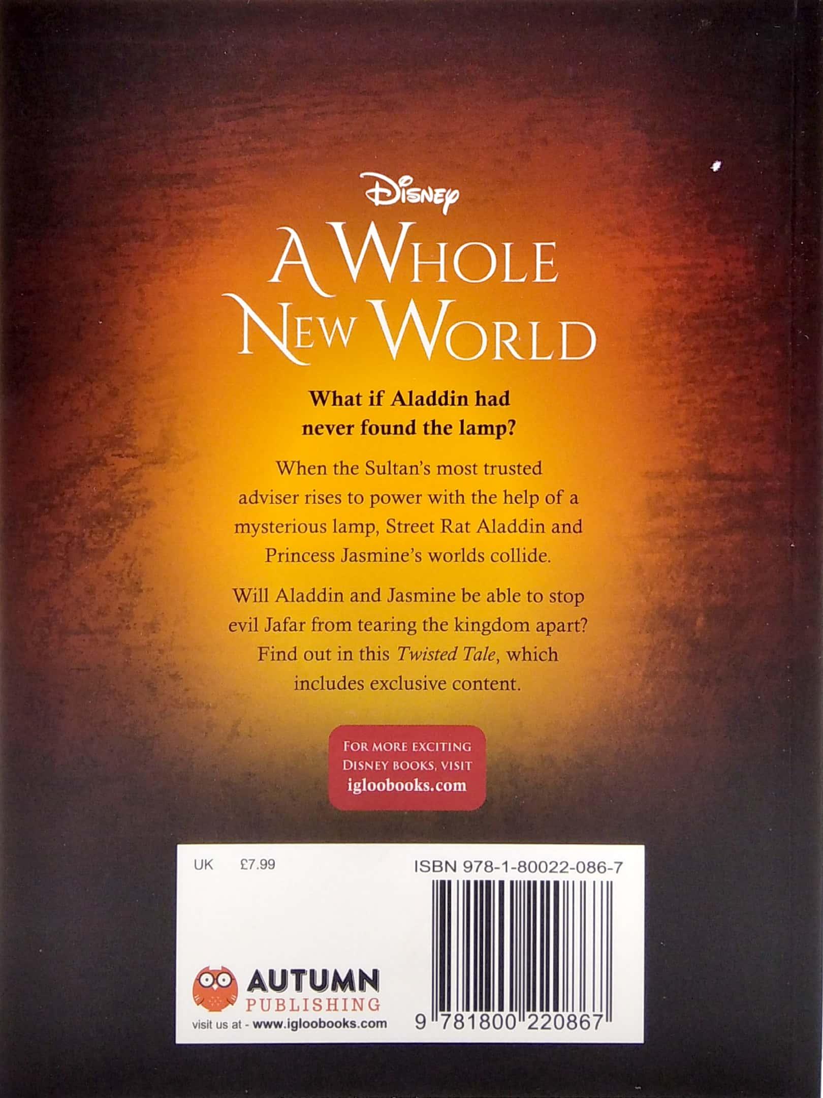Disney Princess Aladdin: A Whole New World