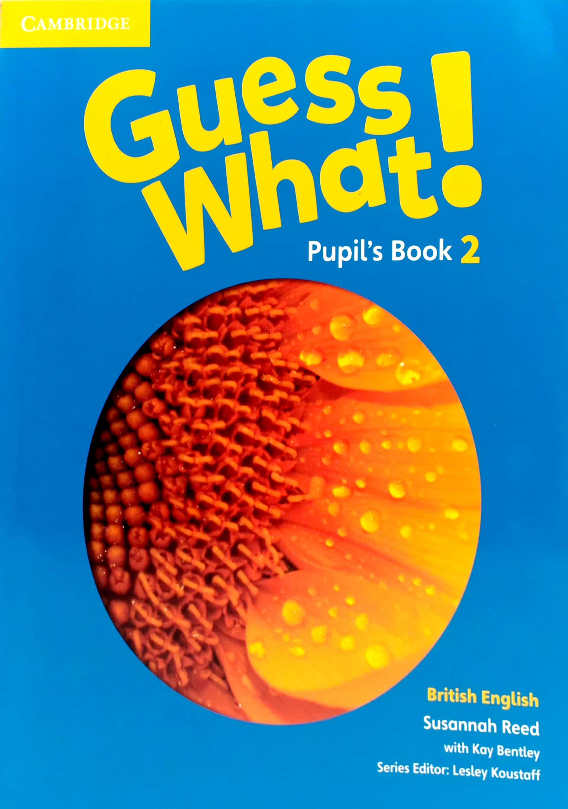 Guess What! Level 2 Pupil