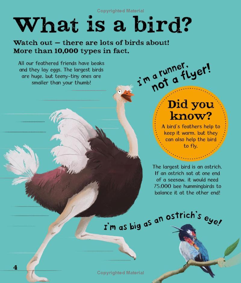 Wow! Birds