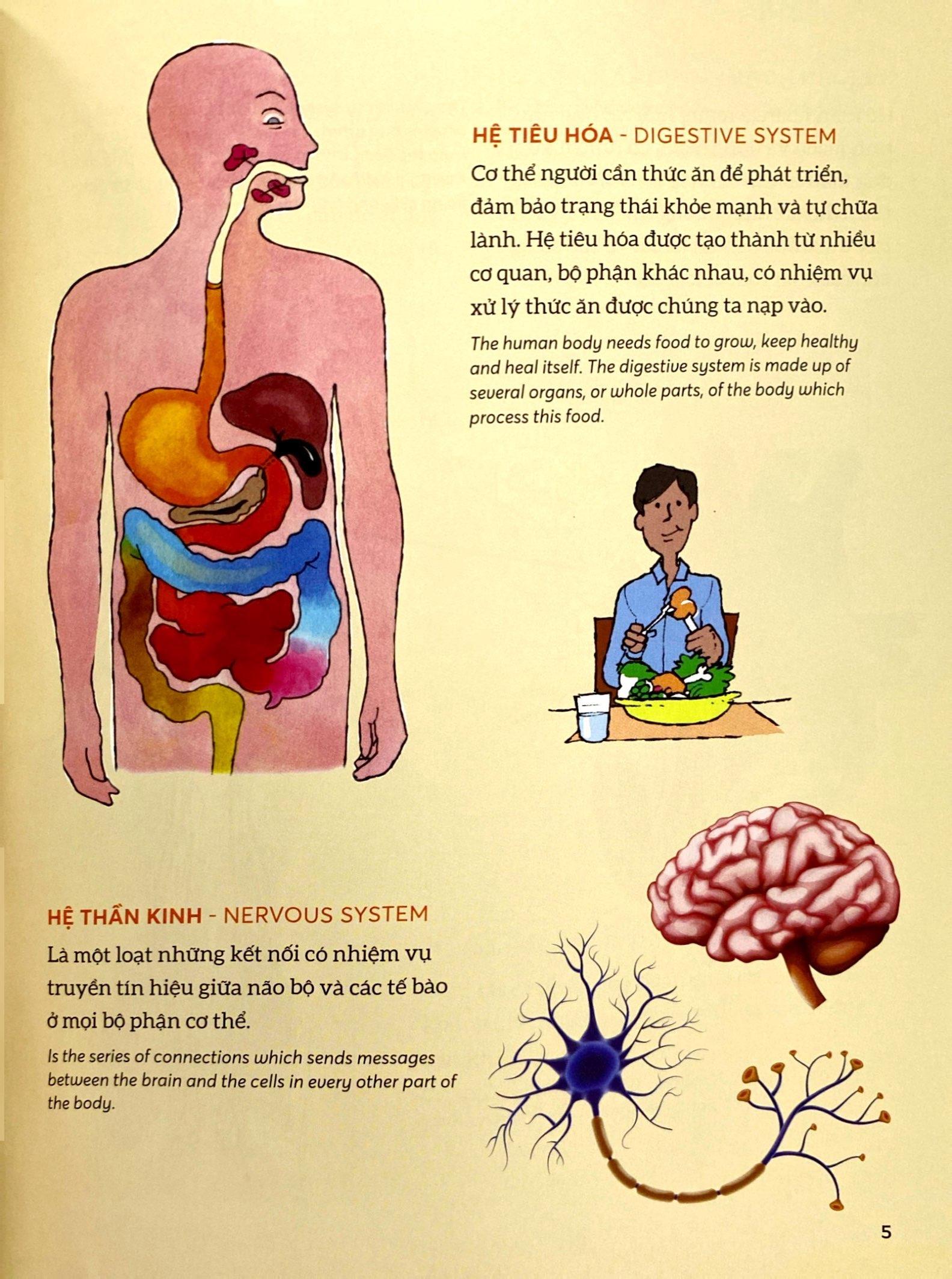 Bách Khoa Tri Thức - Khám Phá Cơ Thể Người - Explore The Human Body (Song Ngữ)