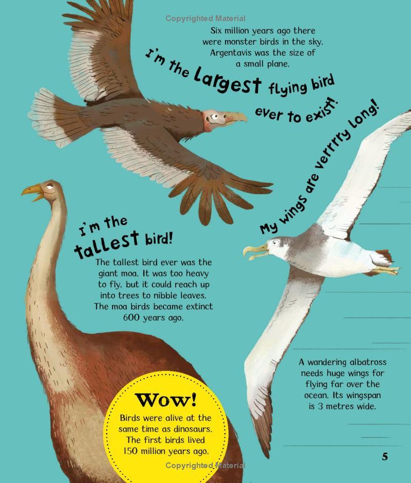 Wow! Birds