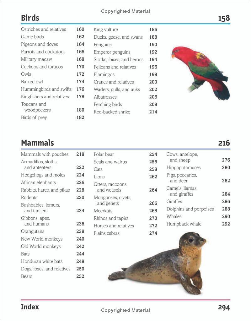 The Animal Book