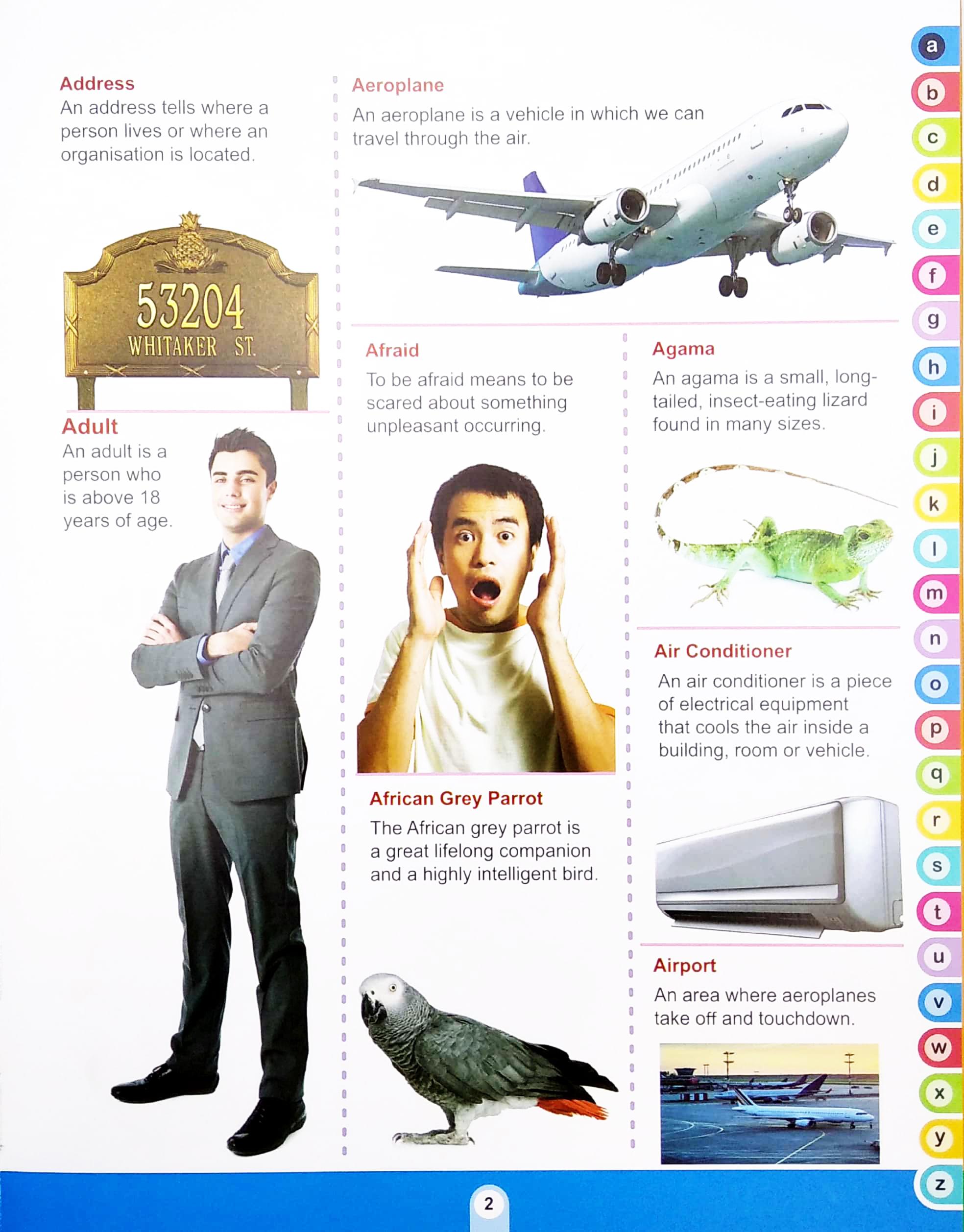 My Ultimate Picture Dictionary