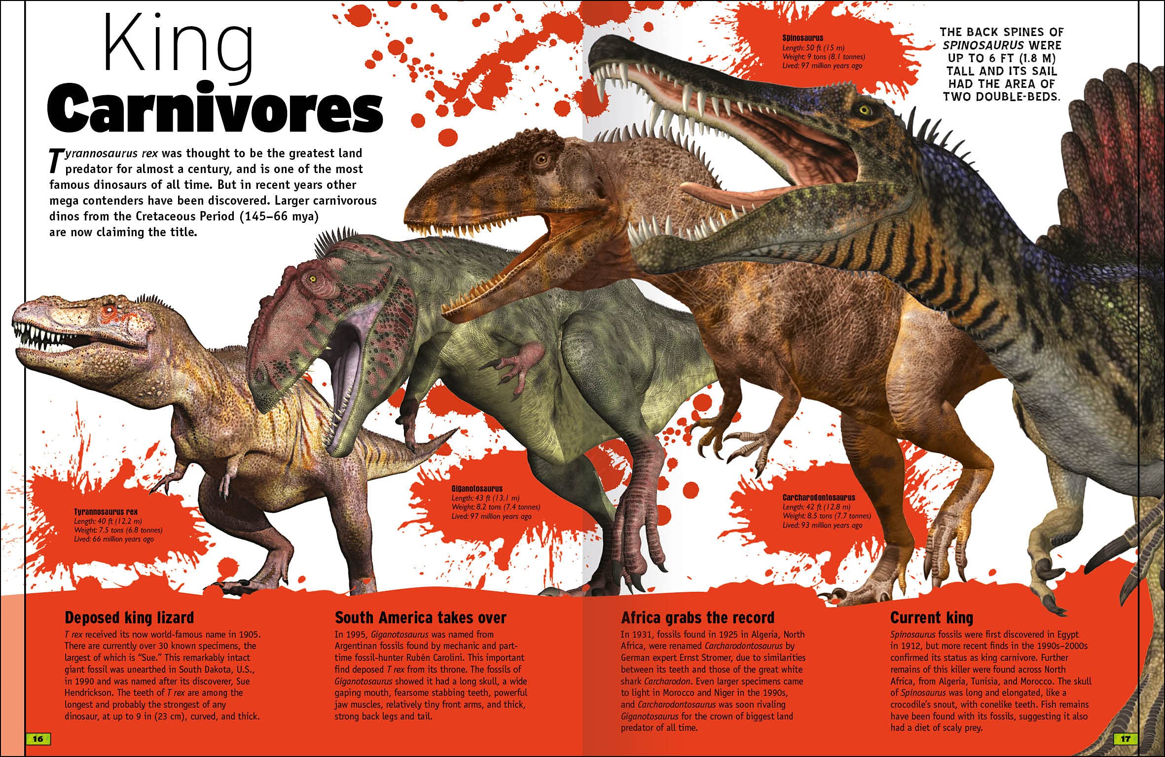 The Animal Book