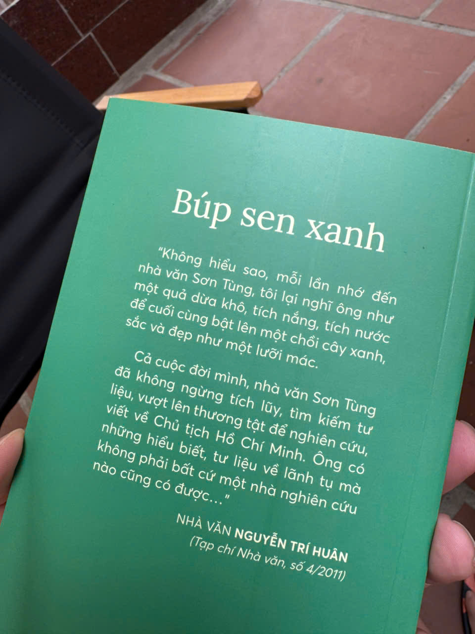 (Combo 2 cuốn) BÚP SEN XANH & BÔNG SEN VÀNG – Sơn Tùng – NXB Kim Đồng