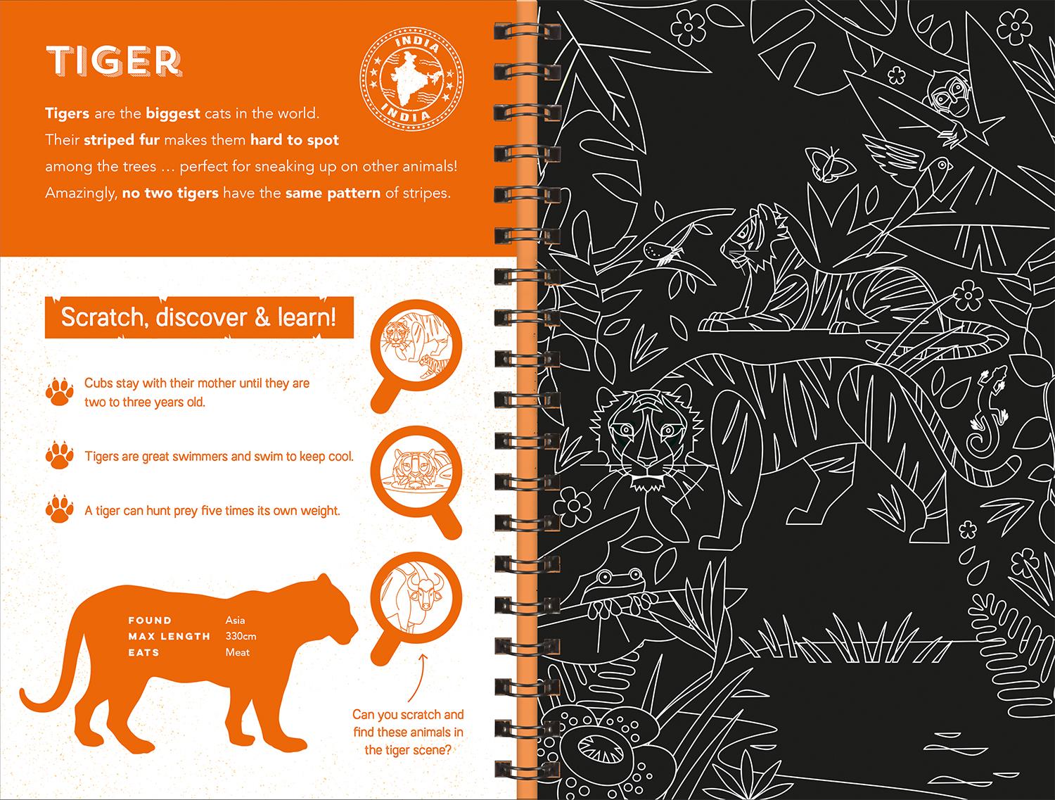 Animals (Scratch Discover & Learn)