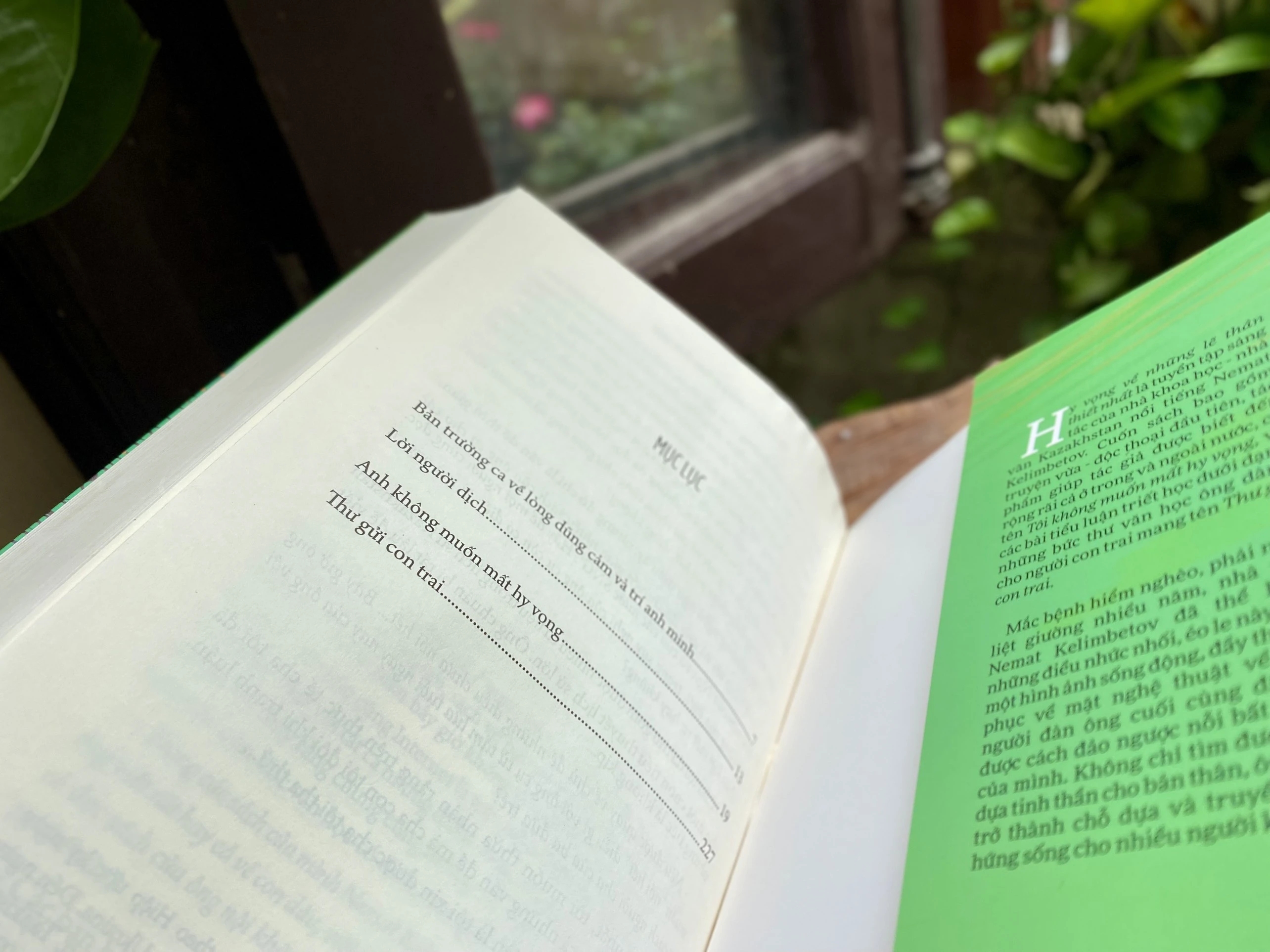 Hy Vọng Về Những Lẽ Thân Thiết Nhất - PNU