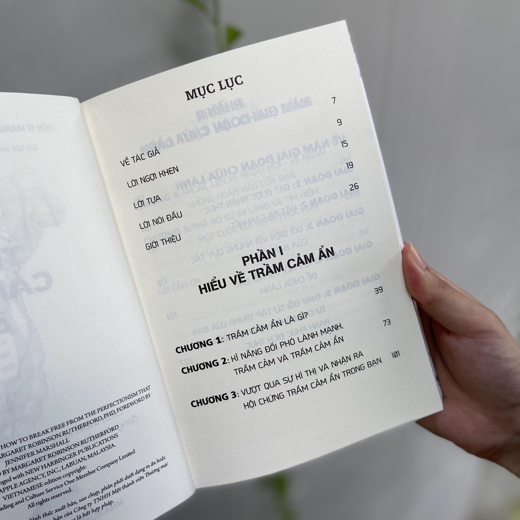 Trầm Cảm Ẩn - ML