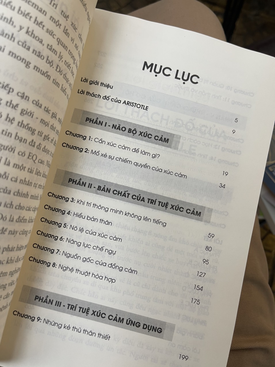 (The #1 Bestseller) TRÍ TUỆ XÚC CẢM - Lý giải tại sao người kém thông minh lại thành công hơn những người thông minh - Daniel Goleman - Nguyễn Lê Phương & Phạm Thị Thu Hà dịch - Alphabooks -Nhà Xuất Bản Công Thương