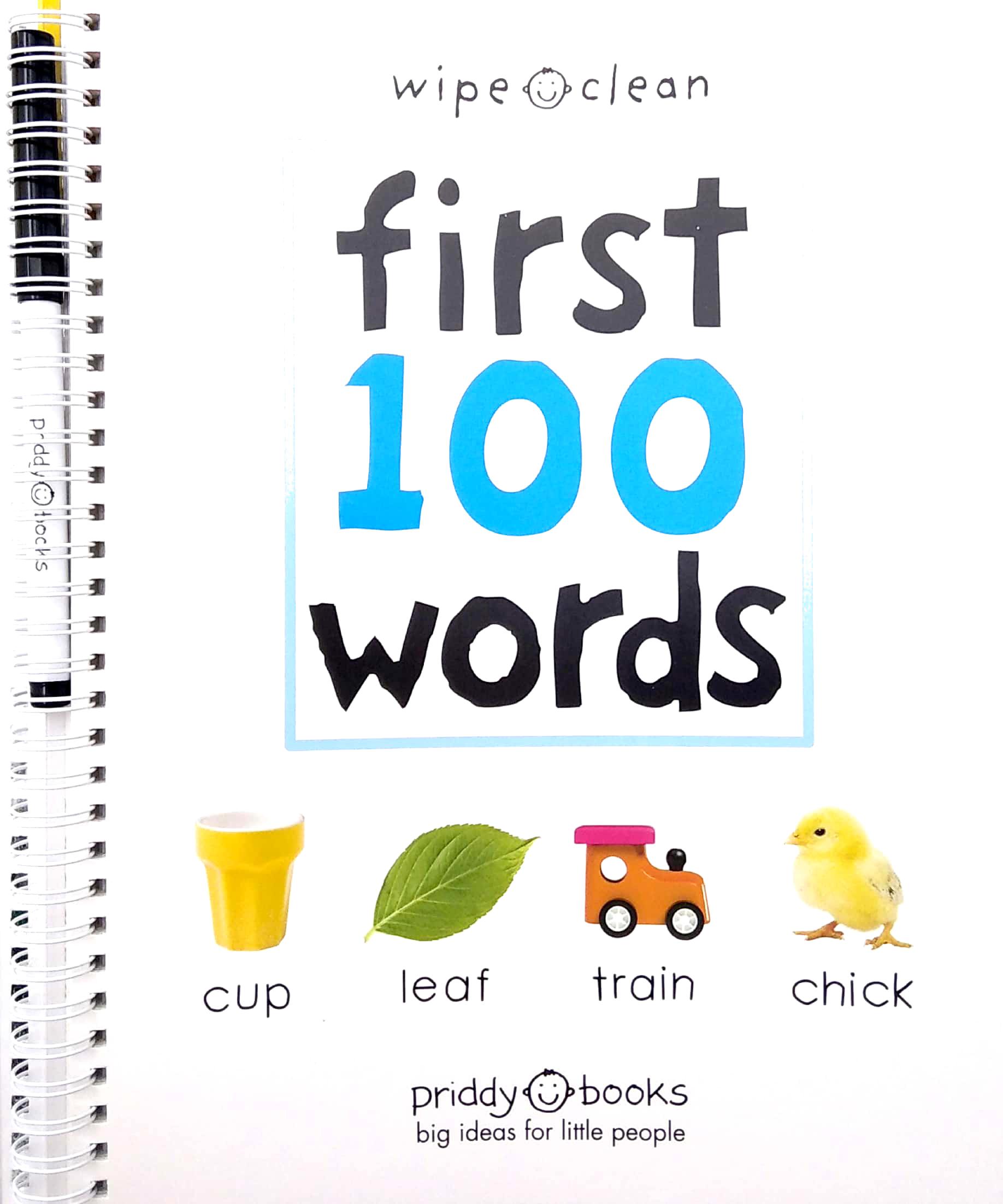 Wipe Clean: First 100 Words