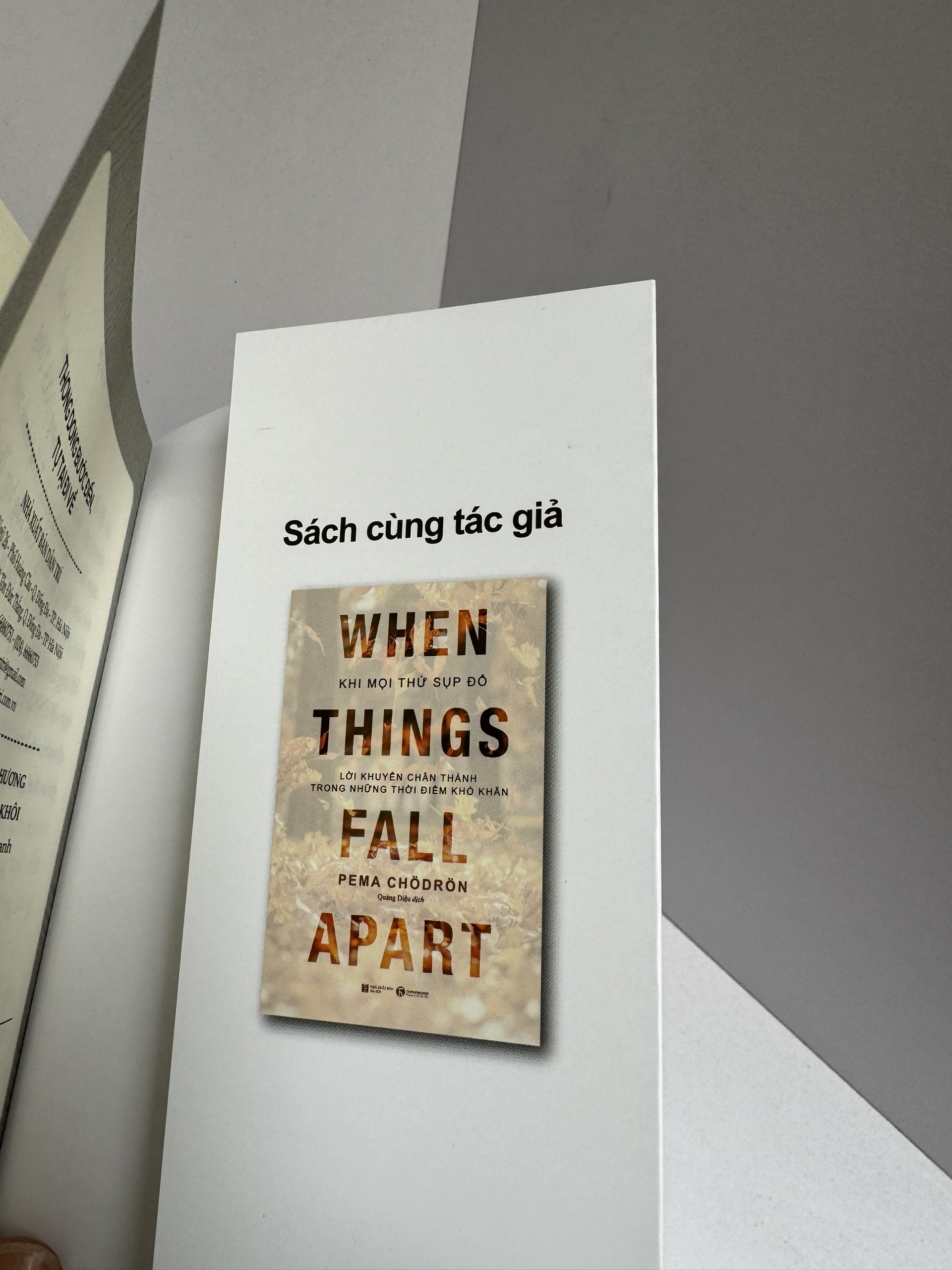 THONG DONG BƯỚC ĐẾN, TỰ TẠI ĐI VỀ - Pema Chödrön - Sen Xanh dịch - Thái Hà Books - NXB Dân Trí