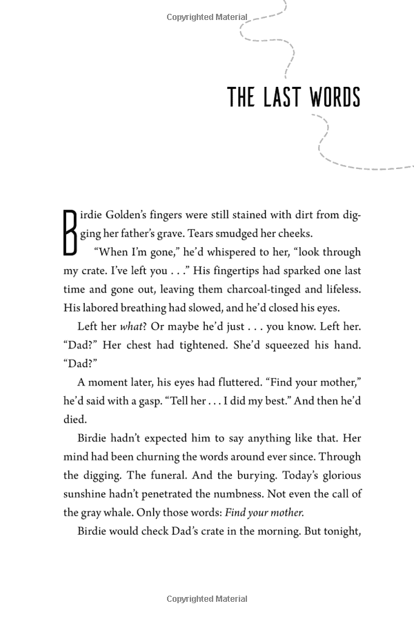 The Forgotten Five Book 1: Map Of Flames