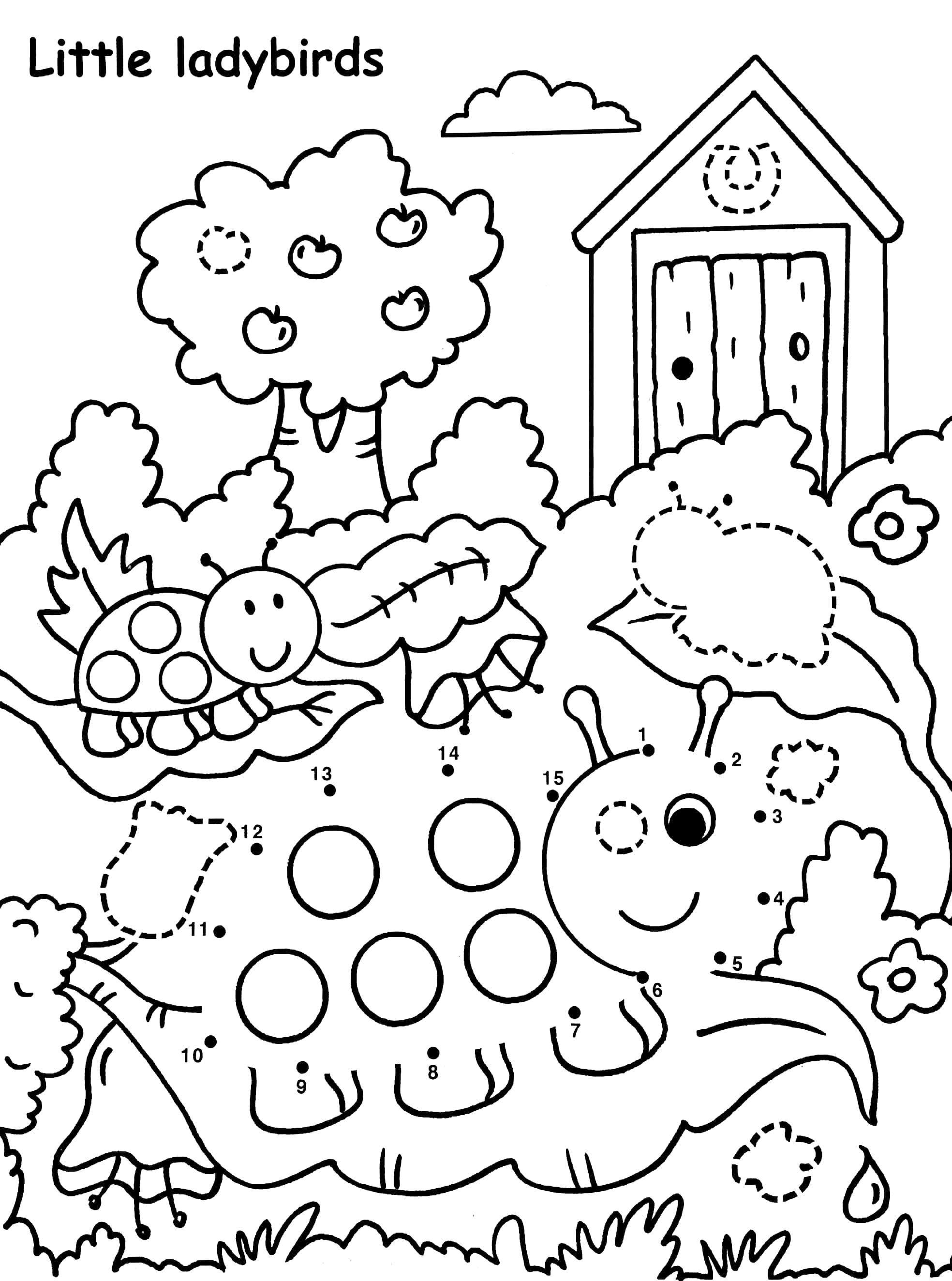 Creepy Crawles