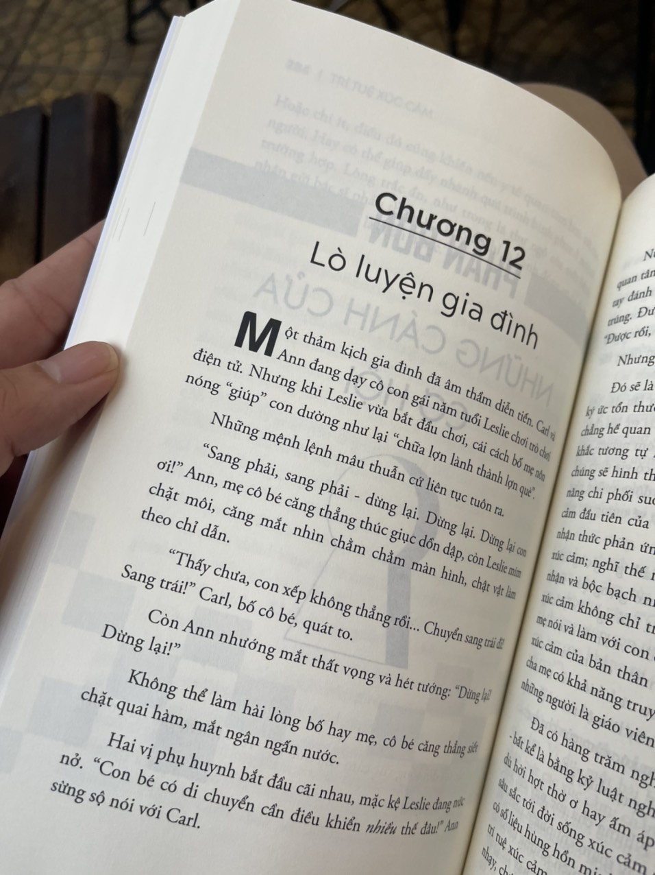(The #1 Bestseller) TRÍ TUỆ XÚC CẢM - Lý giải tại sao người kém thông minh lại thành công hơn những người thông minh - Daniel Goleman - Nguyễn Lê Phương & Phạm Thị Thu Hà dịch - Alphabooks -Nhà Xuất Bản Công Thương