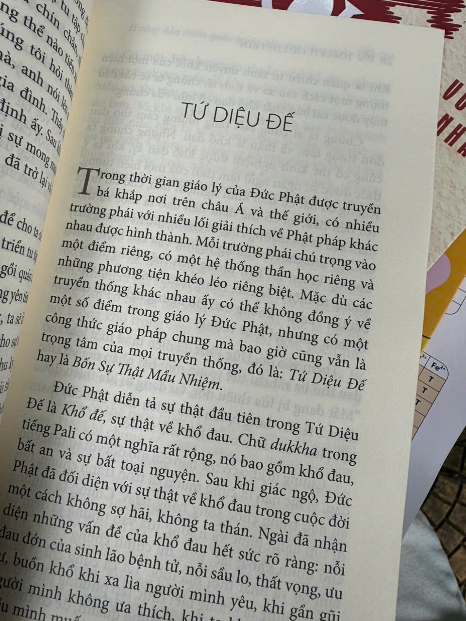 (Tái bản 2024) HƯỚNG DẪN THIỀN QUÁN TRONG ĐỜI SỐNG HẰNG NGÀY – Joseph Goldstein – Nguyễn Duy Nhiên dịch – Thaihabooks – NXB Hà Nội