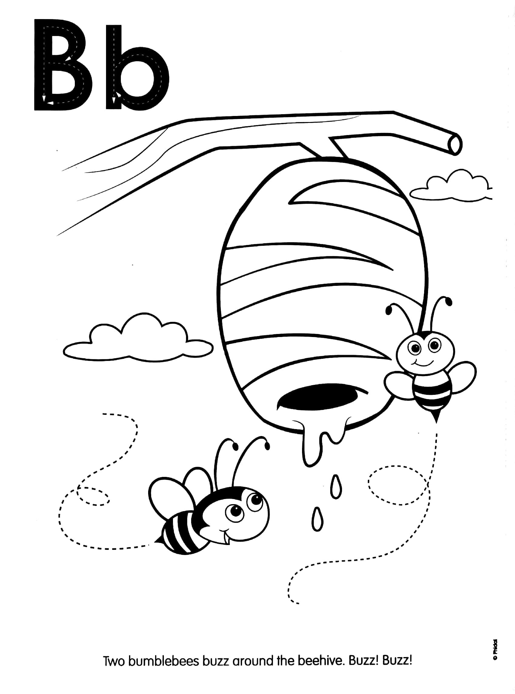 ABC