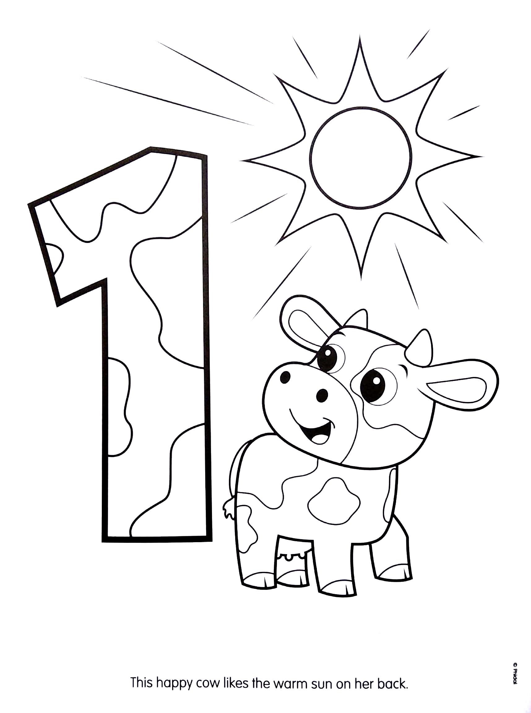 123