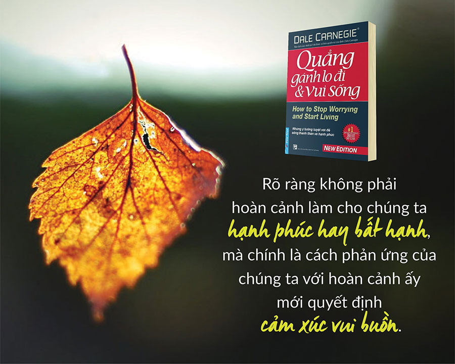 Quẳng Gánh Lo Đi Và Vui Sống (Tái Bản 2016)