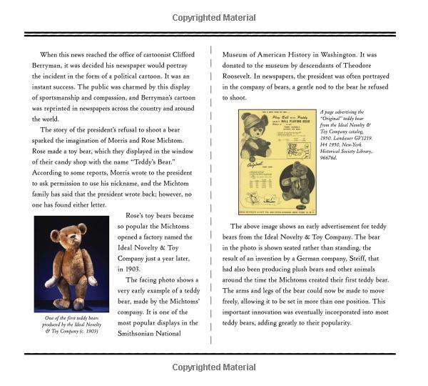 Teddy: The Remarkable Tale of a President, a Cartoonist, a Toymaker and a Bear