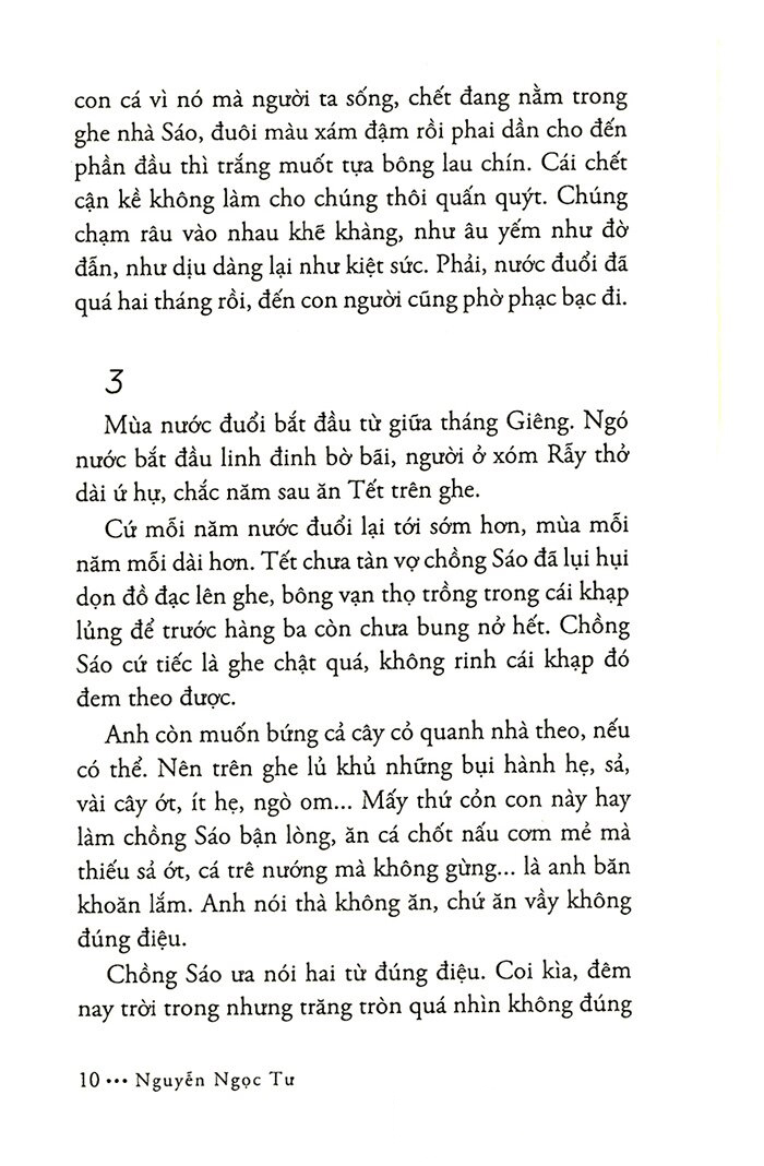 Khói Trời Lộng Lẫy - Nguyễn Ngọc Tư, Trẻ