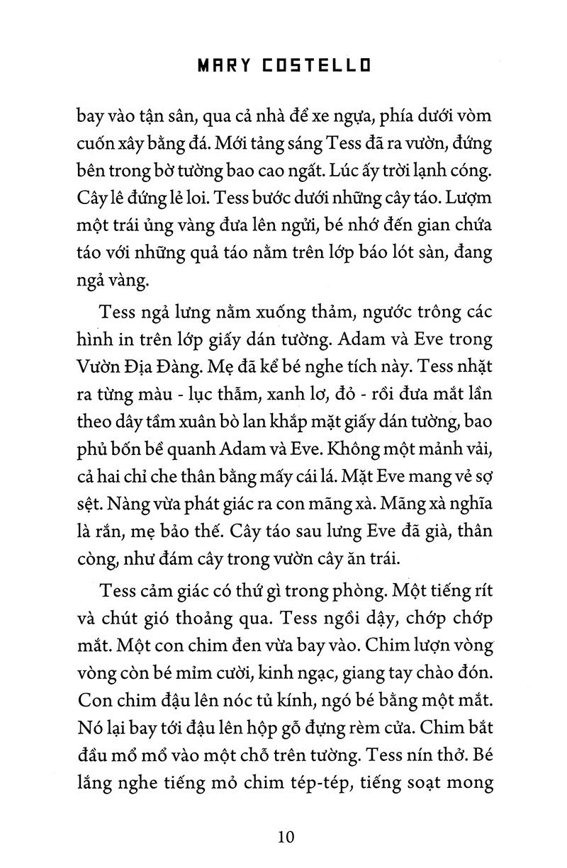 Phố Academy