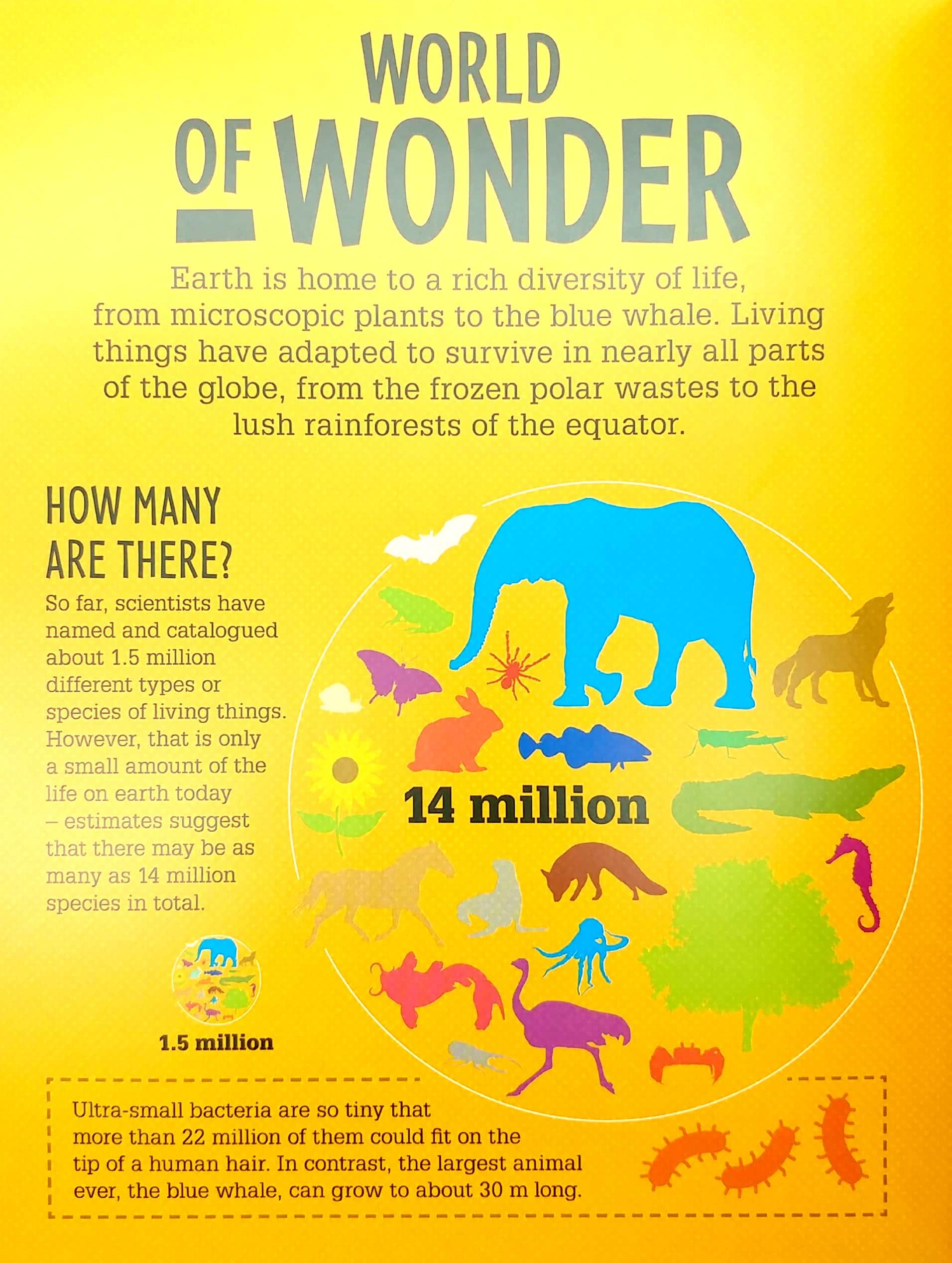 Life On Earth (Infographics: How It Works)