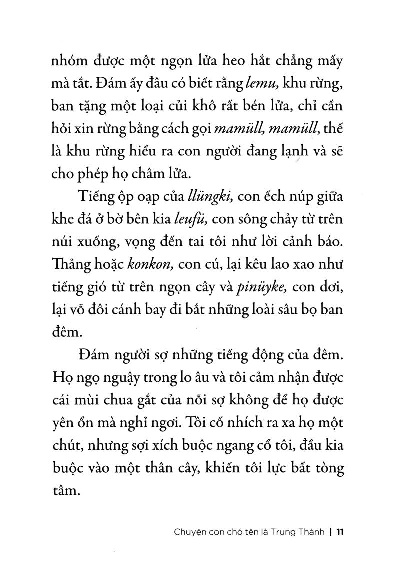 Chuyện Con Chó Tên Là Trung Thành